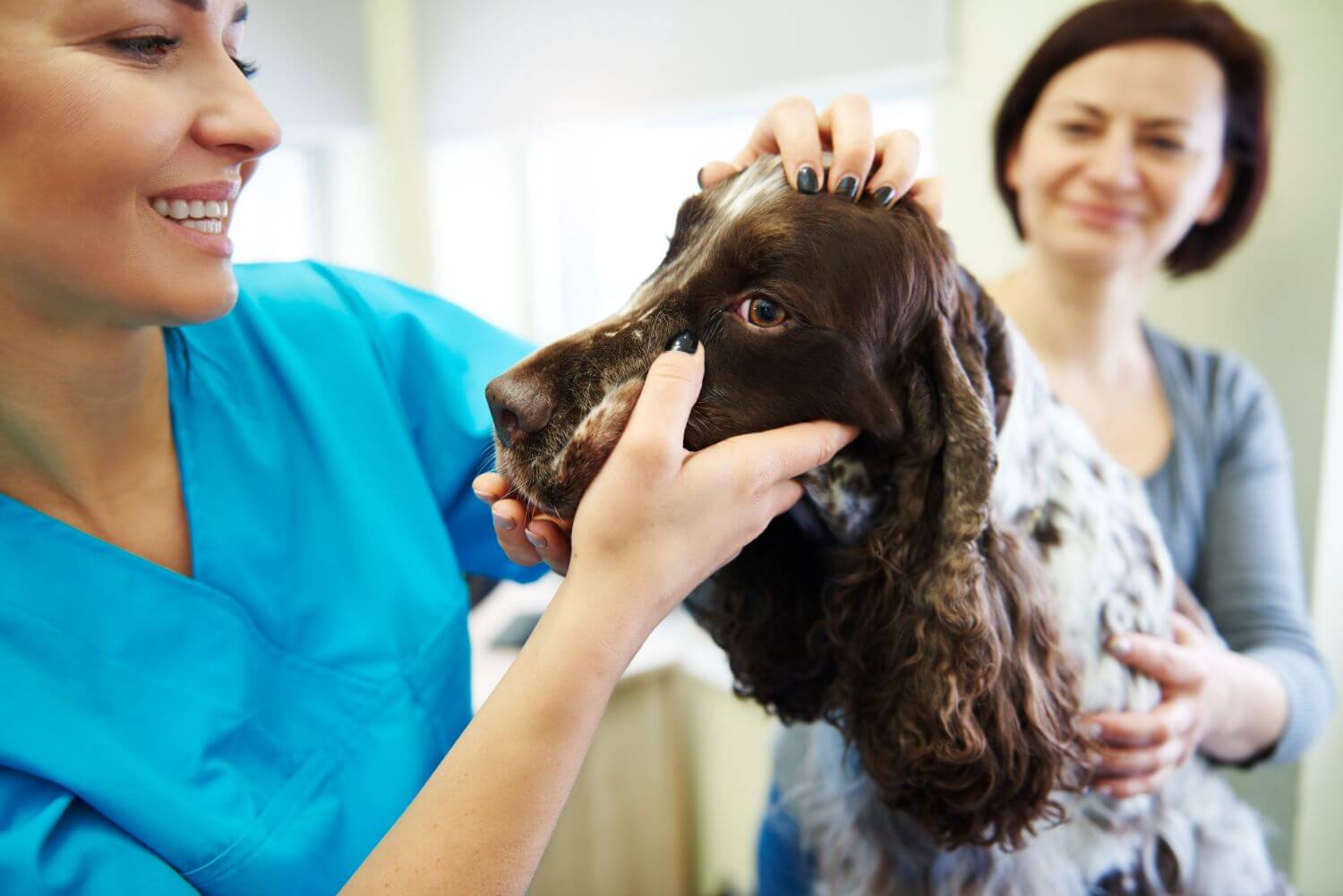 epicpaws-veterinary-gallery (4)