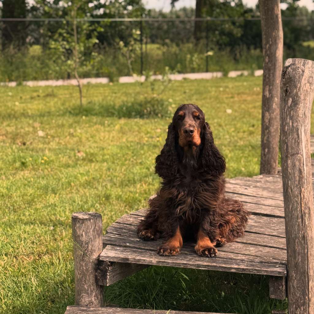 Charlie