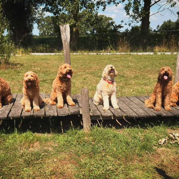 3B832CAA-1EB1-4CFA-9067-4216D9F65EC0