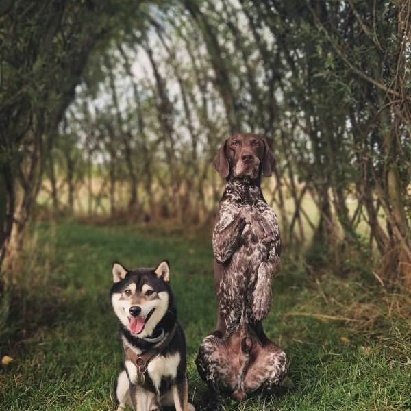 4B3503CC-11A6-4882-B768-23BF85096A22