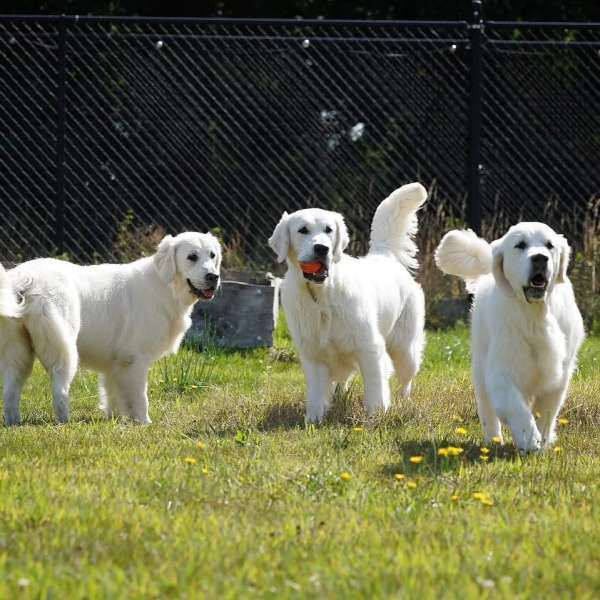 584B9372-D26B-4F97-85A7-ADDFDF884E7C