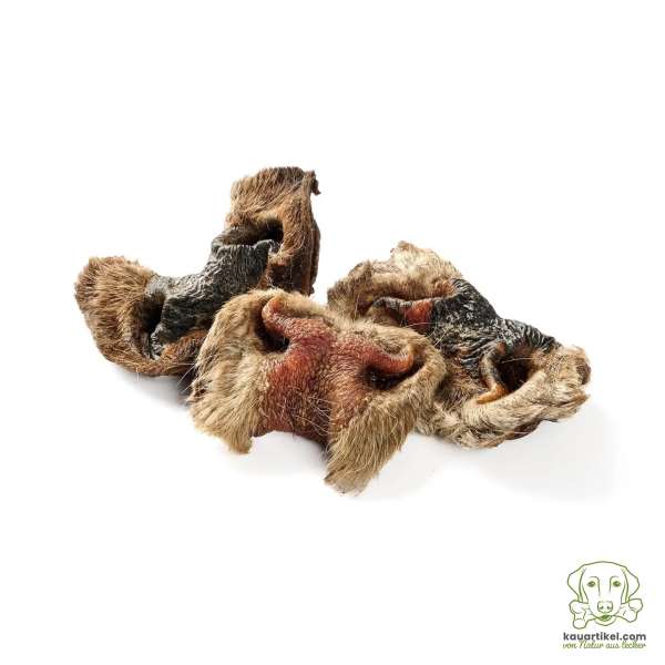 Runderneus met huid en vacht