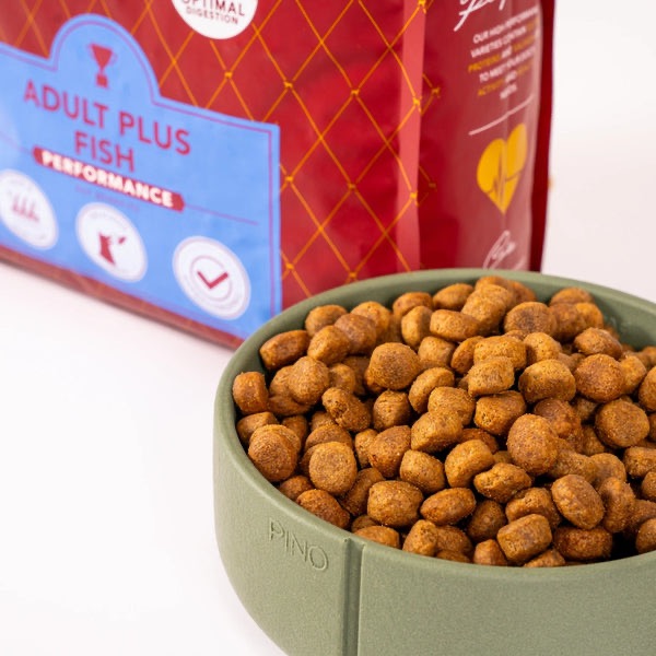 Delcon Adult Plus Fish