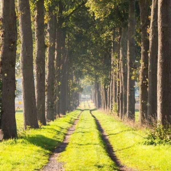 Wandelroute CAlphaNIS - 11 km