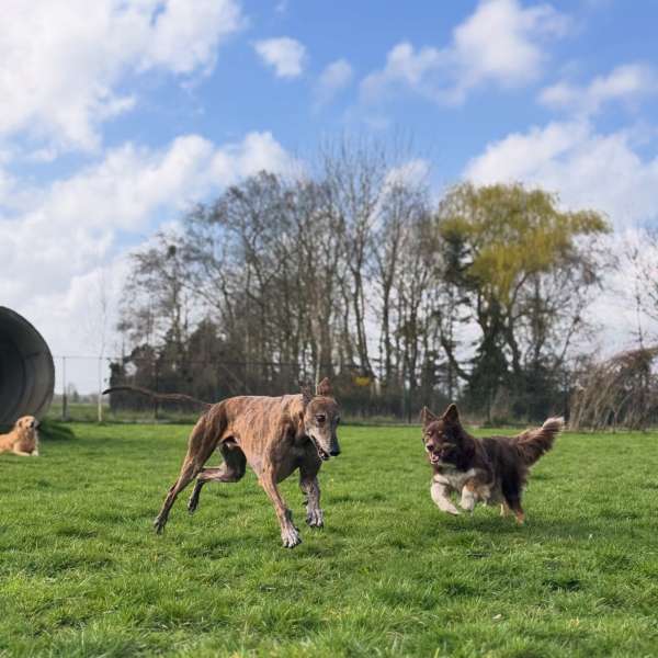 Sam & Nevin & Whisper