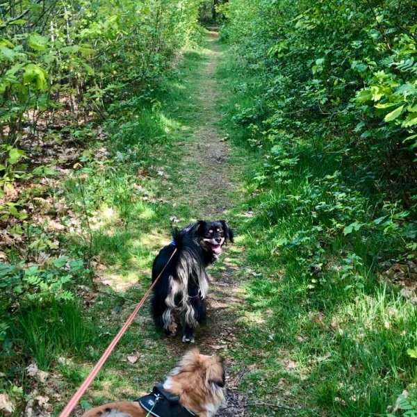 Wandelroute CAlphaNIS - 4 km