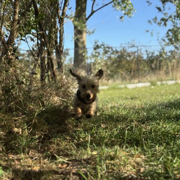 Maand abonnement - wekelijks bezoek