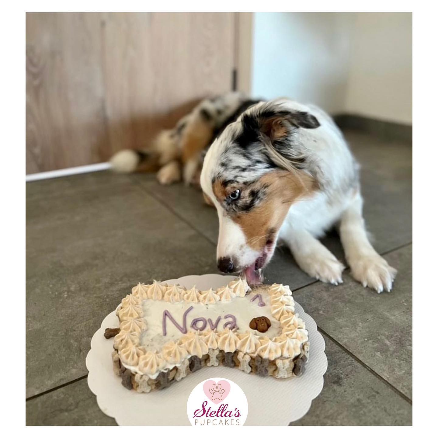 Dog Pawty - Afbeelding 5