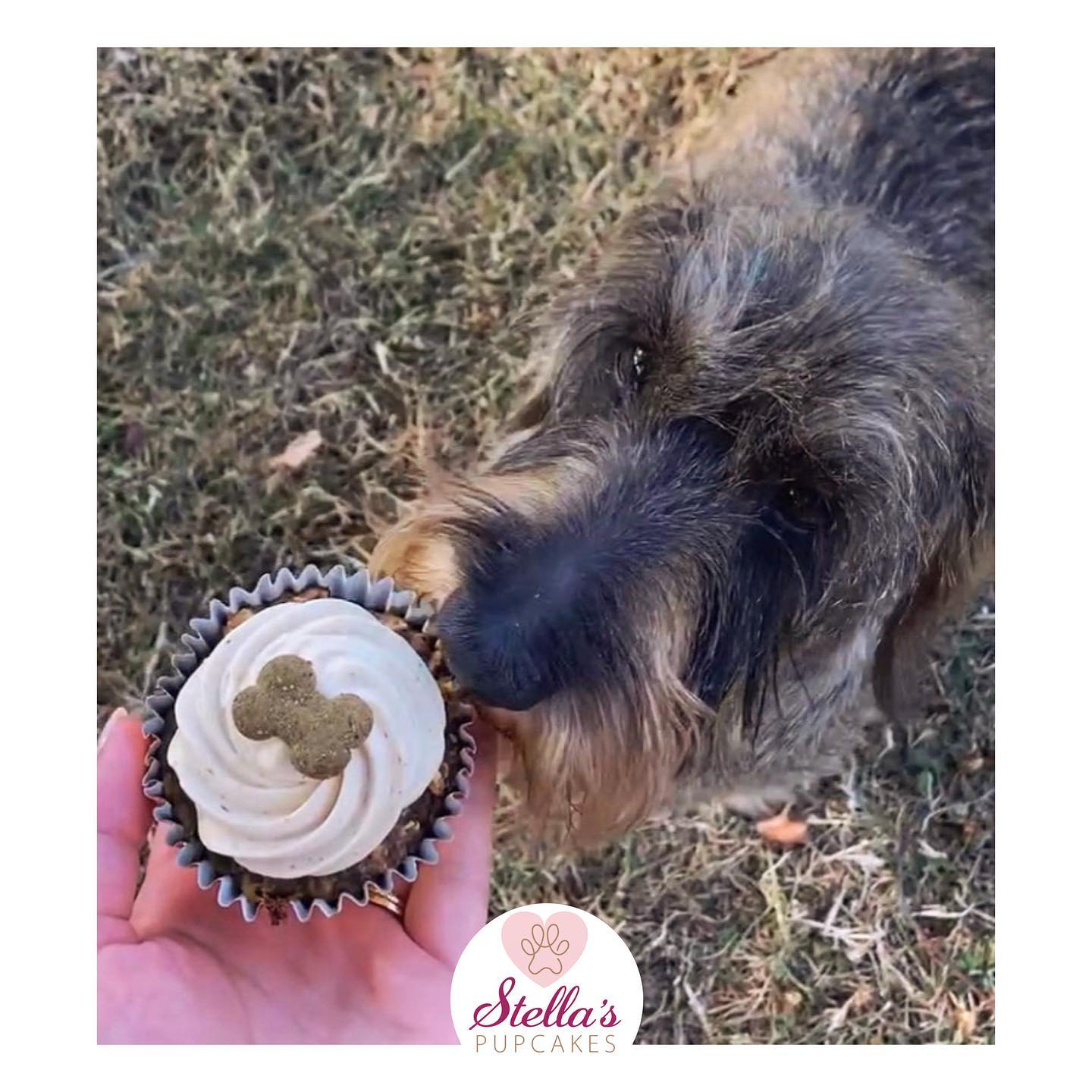 Dog Pawty - Afbeelding 3