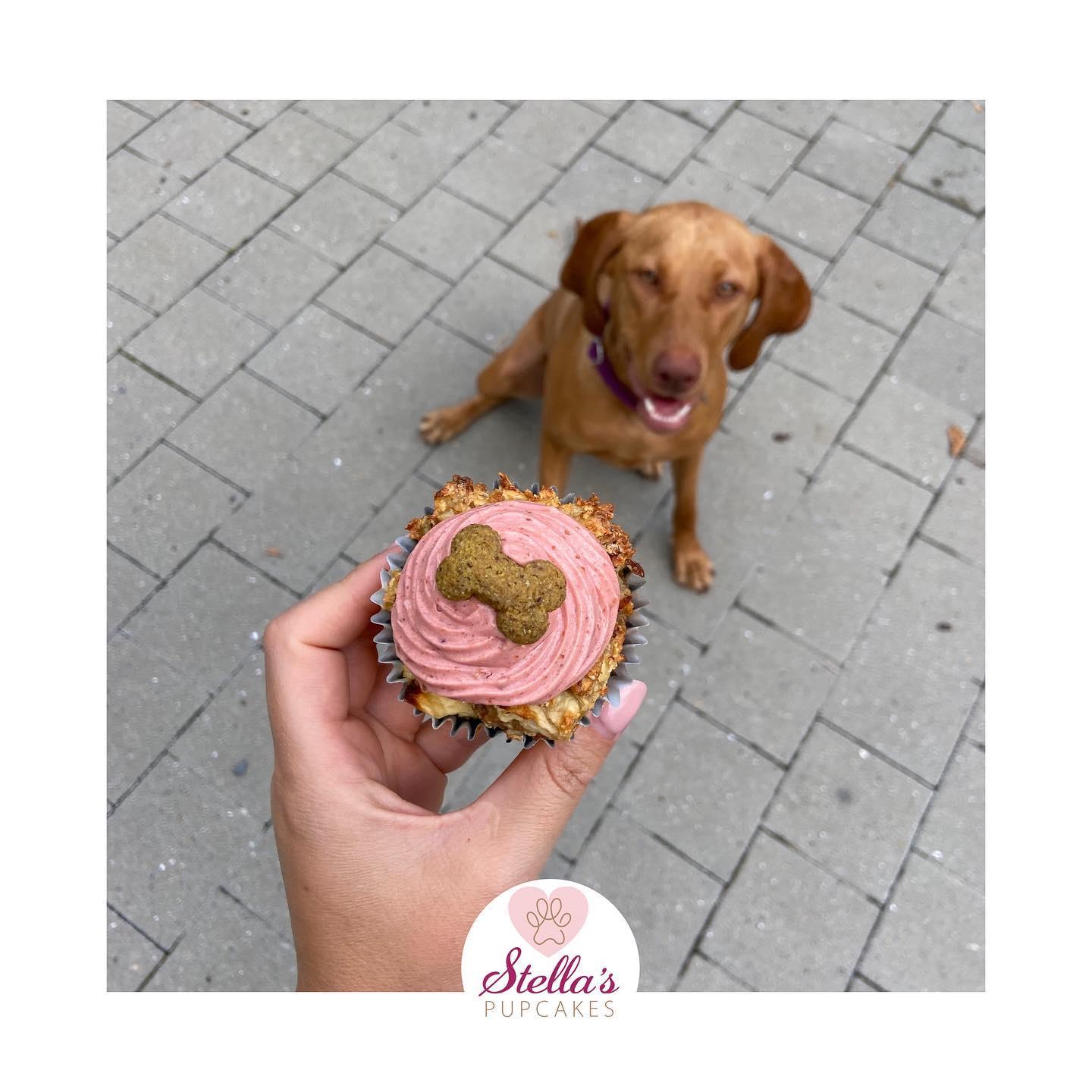 Dog Pawty - Afbeelding 4