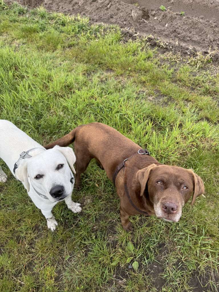 Luna & Lena