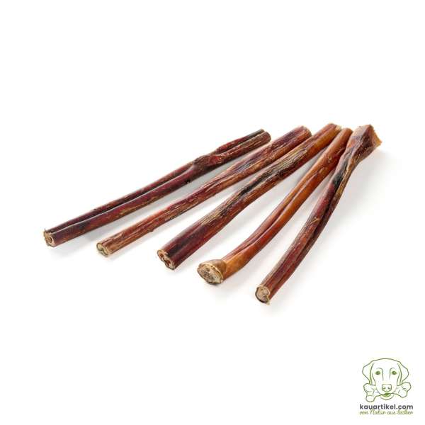 Runderstengel groot